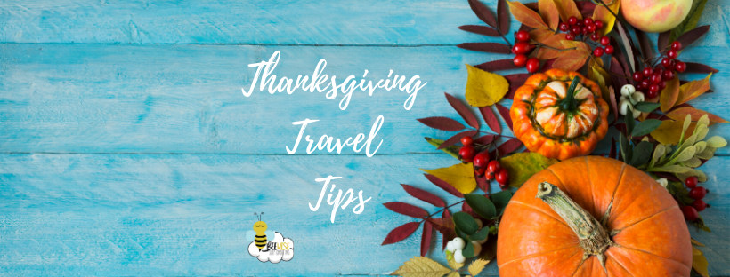 Copy Of Thanksgiving Travel Tips